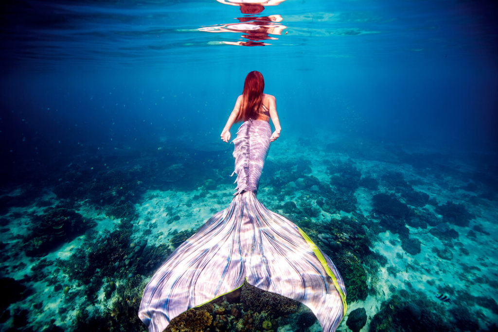 kursy mermaid